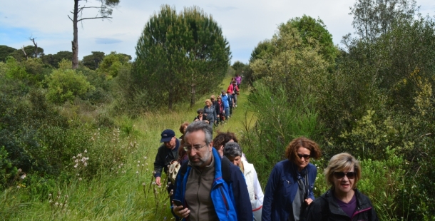 La Pineta di Castel Fusano